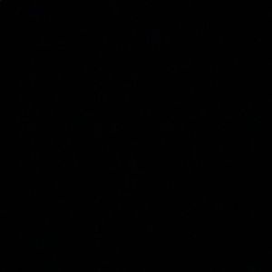 Meet your Posher, Kasey